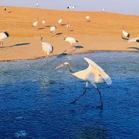 齐齐哈尔旅游攻略(自测版 纯纯个人感受)