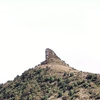 毛笔书法初学者的经验分享