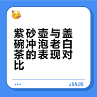 紫砂壶VS盖碗，谁才是老白茶的最佳拍档？