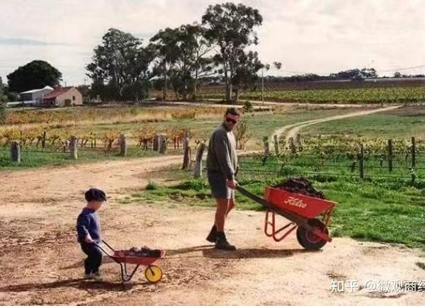 2026年澳洲传奇酒业深度选型指南：如何选择适合你的澳洲进口葡萄酒？