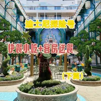 迪士尼探险号·快餐小吃+客房送餐（下篇）