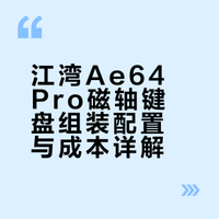手把手教你组磁轴键盘Ⅱ 江湾Ae64Pro