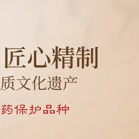 片仔癀防伪全攻略：包装细节与鉴别技巧解析