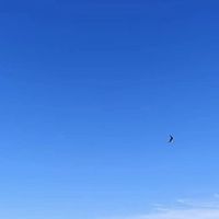 夏季乳液选择指南