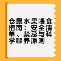 🎀仓鼠食谱-水果篇保姆级攻略✅❌