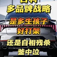 吉利汽车多品牌战略：矩阵优势与市场重叠风险分析