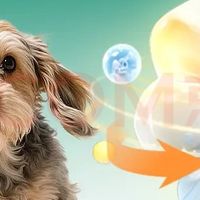 老年犬专属湿粮实测｜0胶0谷护肠胃+2%鲨鱼软骨素