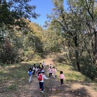 湿滑山路总摔跤？别再用普通运动鞋糊弄孩子的徒步安全了