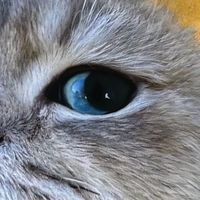 
有哪些学生专用洗面奶？温和不刺激平价好用学生党的洗面奶推荐
