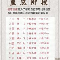 练字半年毫无进步？这才是硬笔书法的正确流程，新手必看！