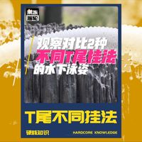 T尾到底怎么挂？子弹铅vs配重曲柄钩水下实拍对比！