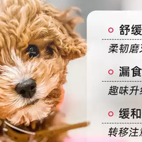 KONG幼犬漏食葫芦！磨牙解闷神器，让小狗自己玩到累瘫