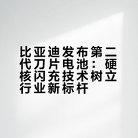 比亚迪发布第二代刀片电池，用硬核闪充技术树立行业新标杆。新电池的闪充技术确实有点东西。常温下从10%充到70%只要5分钟，9分钟基本就能充到97%。没想到车的充电速度能和手机并驾齐驱。它甚至要改变新能源低温趴窝的刻板印象，零下30℃这种极寒环境，充到97%也只比常温多3分钟。很多人以前总说电车冬天不好用，现在技术明显在往前走。如果以后闪充站慢慢铺开，出门补能应该都会方便不少。