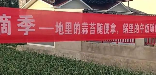 蒜薹一斤两毛，请人抽要倒贴钱！百亩蒜田免费送，城里人抢破头