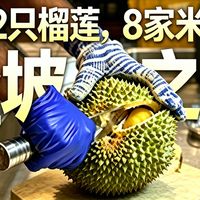 吉隆坡马六甲怎么玩，保姆级 亲身游记1万字，巨详细，不看后悔！