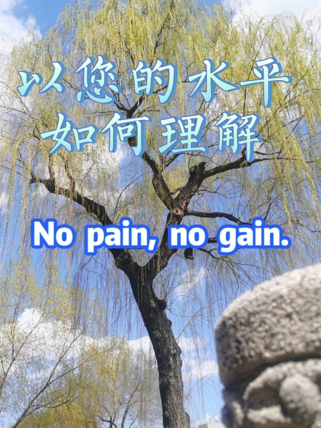 英语句子翻译，留下你的美文