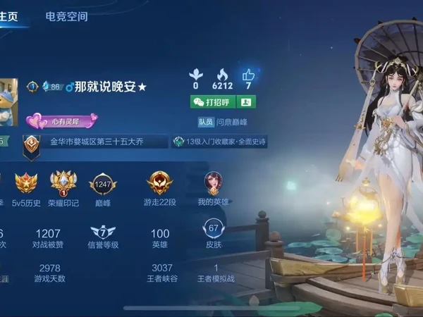 《王者荣耀》理性氪金防剁手指南