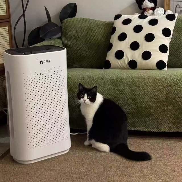 多猫家庭的空气管理大师，我找到了！