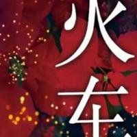 火车：开往地狱的烈火之车，载着无法回头的灵魂