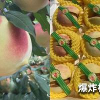 “晴王”只是国产阳光玫瑰贴牌，多花三倍钱买的是营销故事