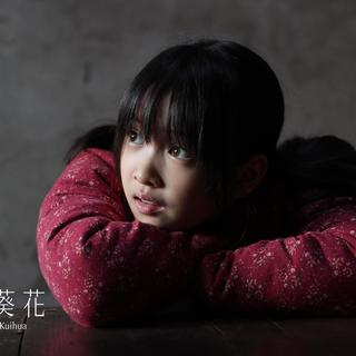 苦难中的向阳花《青铜葵花》定档5月8日上映，作者曹文轩观影数次落泪