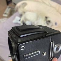大概是最有性价比的哈苏单反