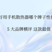 便宜好用手机散热器哪个牌子性价比高？5 大品牌横评 这款最值
