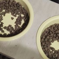 诚实一口P40猫粮：高性价比基础主粮