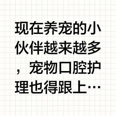 2026宠物洁牙粉实测测评！宠物洁牙粉品牌怎么选？新手养宠必看指南