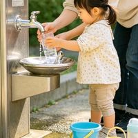 宝山南大智慧城生态公园遛娃指南