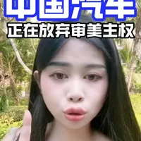 国产车设计陷入同质化困局：跟风复刻与原创困境