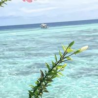 大海