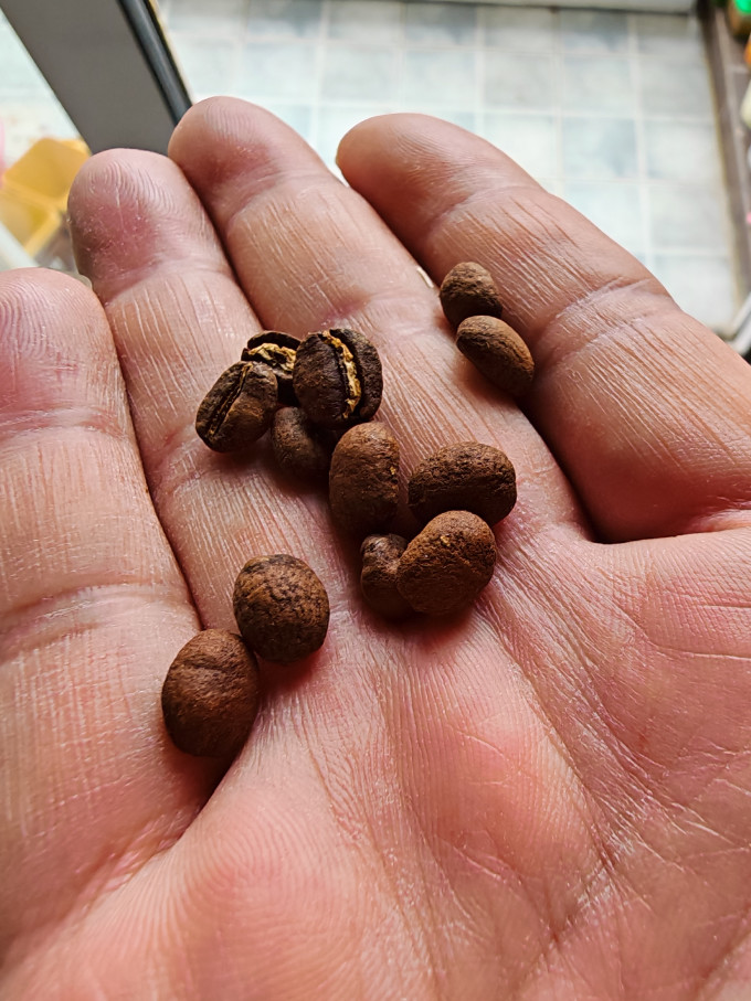 布蕾克咖啡豆