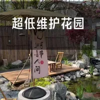 北方低维护花园植物实测与养护要点