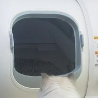 自动猫砂盆实测｜几百块彻底解放铲屎官双手，养猫幸福感直接拉满
