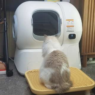 自动猫砂盆实测｜几百块彻底解放铲屎官双手，养猫幸福感直接拉满