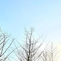 沈阳新开免费泵道公园平衡车娃放电天花板，零成本遛娃玩到不想走