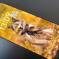 荣耀WINRT：10000mAh+骁龙8Elite+185Hz高刷屏，堪称新一代卷王！