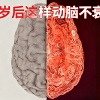 【中配】30岁后如何保持大脑活力
