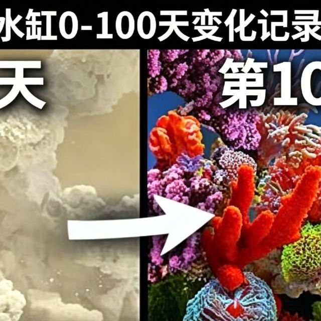 水不在深，有渔则灵
