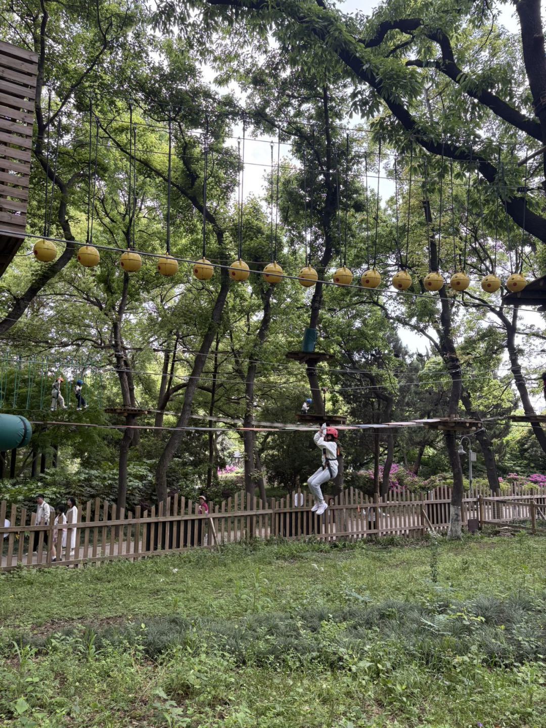 惠山沃普营地五一爆火！亲子探险与“窝囊版蹦极”等你来战。