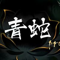 霜降青蛇Pro vs李宁雷霆50：2026 年 400 元档新手全能拍终极对比