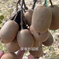 猕猴桃去皮原来这么简单，只需一个勺子就搞定，不脏手也不流汁