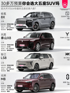 30多万选SUV你会选五座还是六座❓