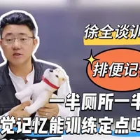 一半睡觉一半如厕，用脚感记忆训定点大小便可行吗
