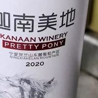 迦南美地小马驹干红🌄 宁夏标杆酒，整箱送礼有面