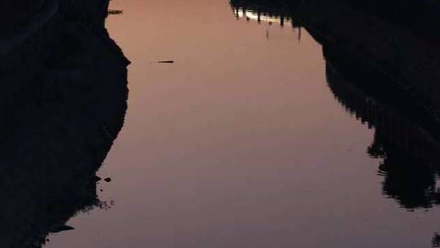 哪些明星穿过 COOGI苦瓜纹毛衣？有没有新手入门款推荐？