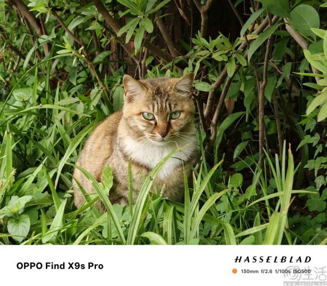 OPPO Find X9s Pro评测:更精致的哈苏小旗舰