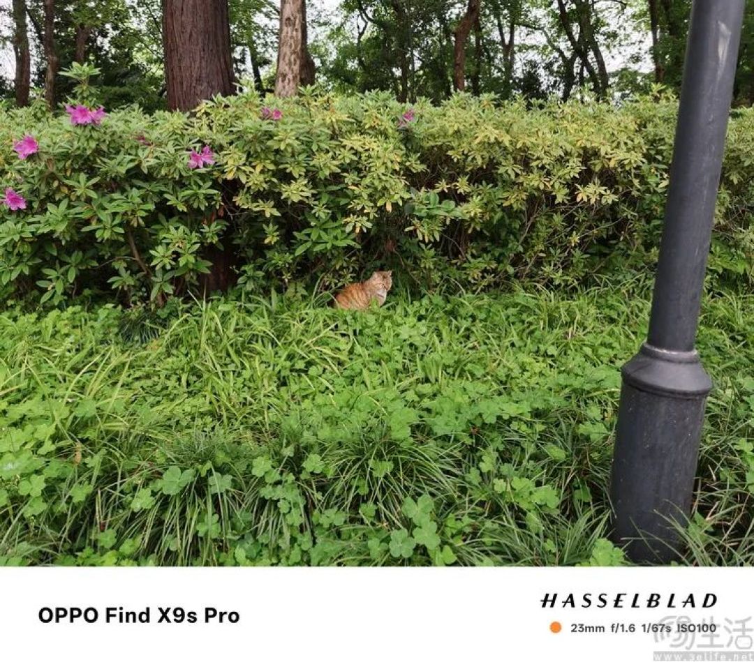 OPPO Find X9s Pro评测:更精致的哈苏小旗舰