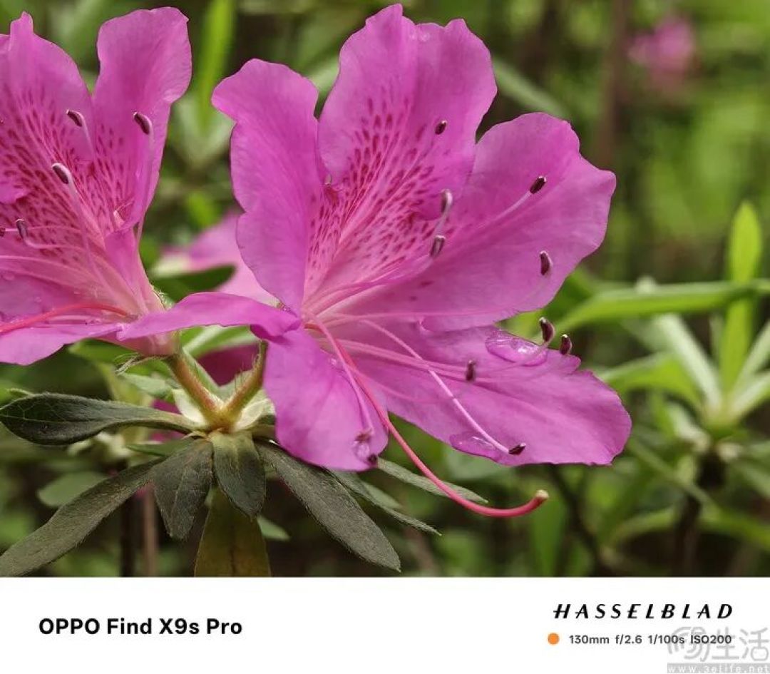 OPPO Find X9s Pro评测:更精致的哈苏小旗舰